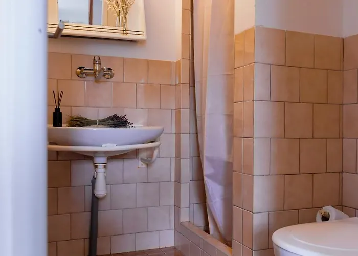 Jaktstuga Prim Destne v Orlickych horach